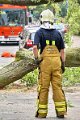 Feuerwehr_Baum   014